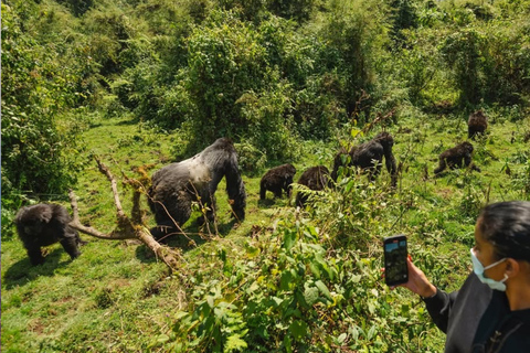 Kigali: 2-Day Gorilla Trekking, Lake Kivu Boat Cruise Tour
