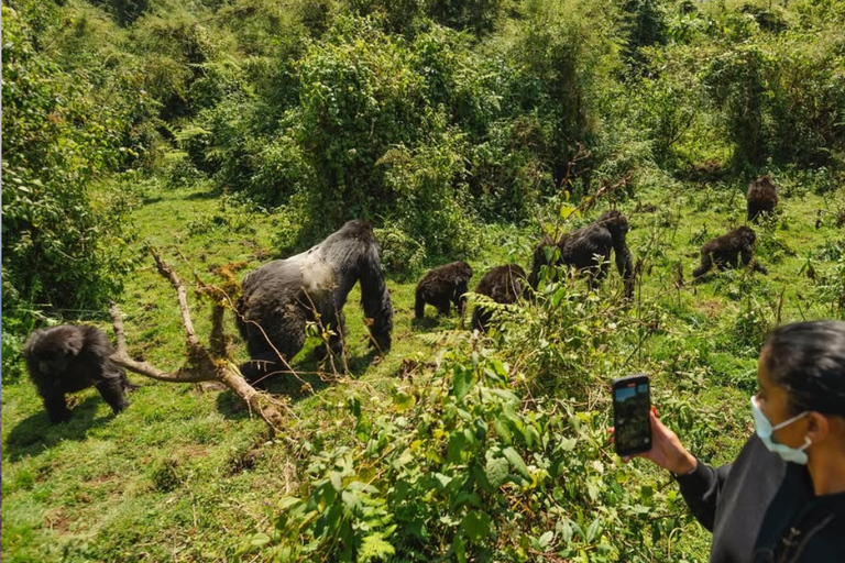 Kigali: 2-Day Gorilla Trekking, Lake Kivu Boat Cruise Tour