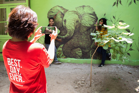 Delhi : Visite en petit groupe à la découverte de l'art, de la culture et de l'histoireVisite en petit groupe