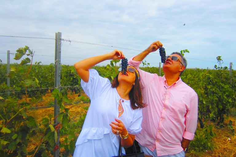 Baku: Shooting and Wine Combination Tour