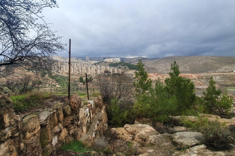 Jerusalén: tour de 1 día de Belén y el mar Muerto