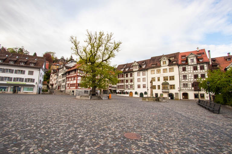 St. Gallen: Private Architekturtour mit einem lokalen ExpertenSt. Gallen: Privater architektonischer Rundgang