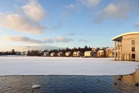 Reykjavik: City Walk with Lunch