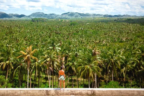 Siargao Tour B (Private Tour)