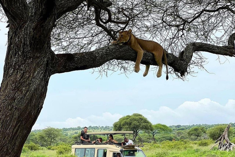 Safári de 7 dias na Tanzânia