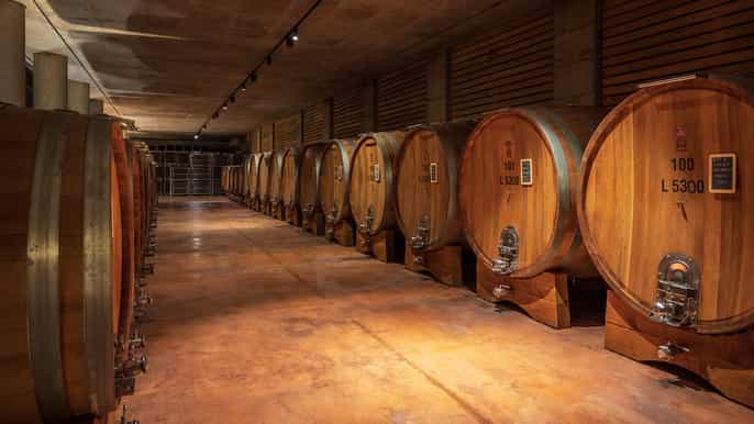 alba halfday barolo wine tasting private guided tour