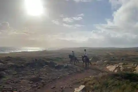 Sunset Horseback ride 1 1/2 hours