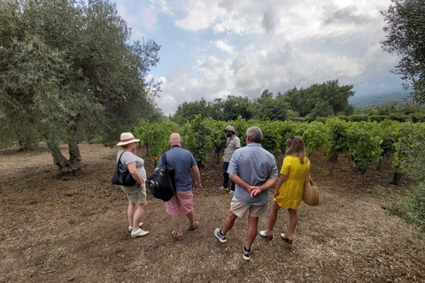 From Taormina: Etna Wineries Small Group Tour