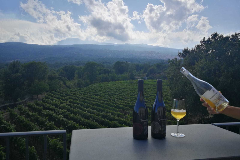 Desde Taormina: Excursión en grupo reducido a las Bodegas del Etna