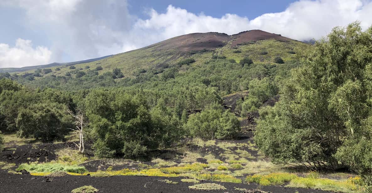 Full-Day Etna, Wine & Alcantara Canyons Tour from Taormina