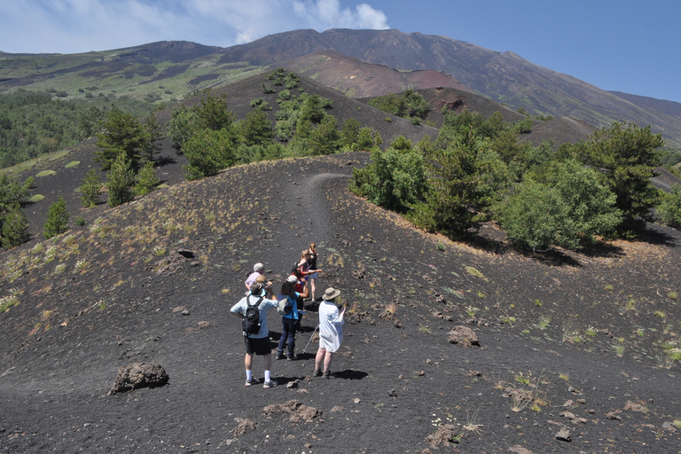 From Taormina: Full-Day Etna, Wine & Alcantara Canyons Tour