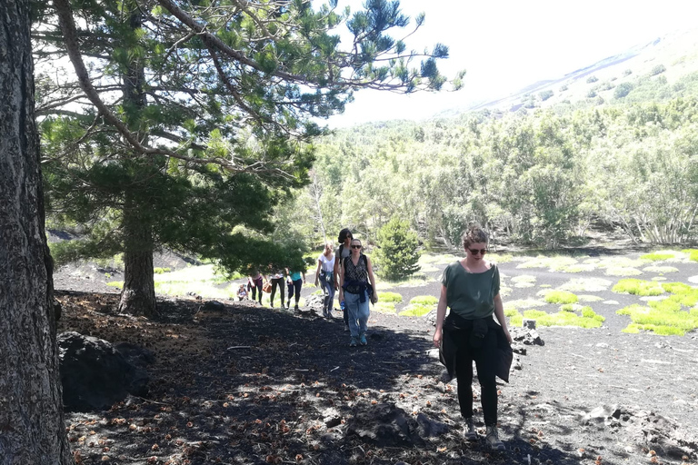 Från Taormina: Halv dags vandring på Etna på morgonen