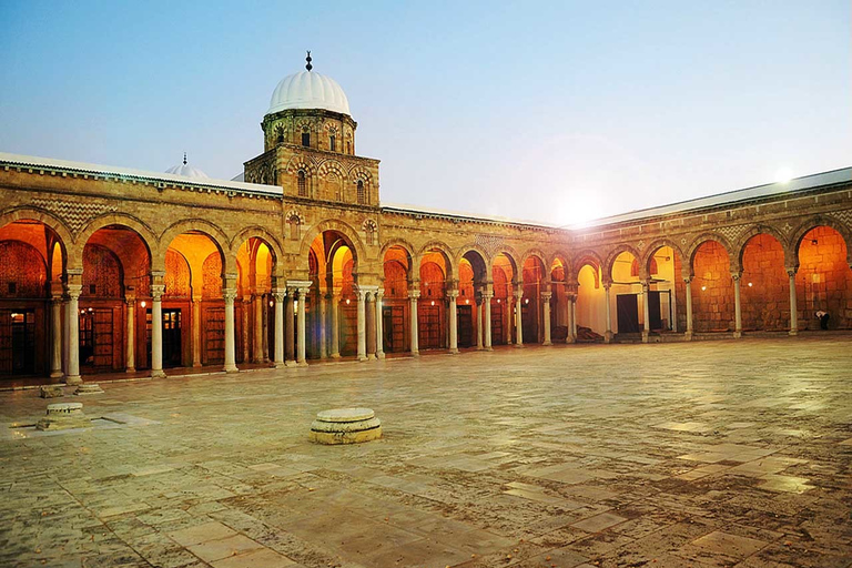 Gouvernorat de Tunis : excursion d'une journéeJournée complète