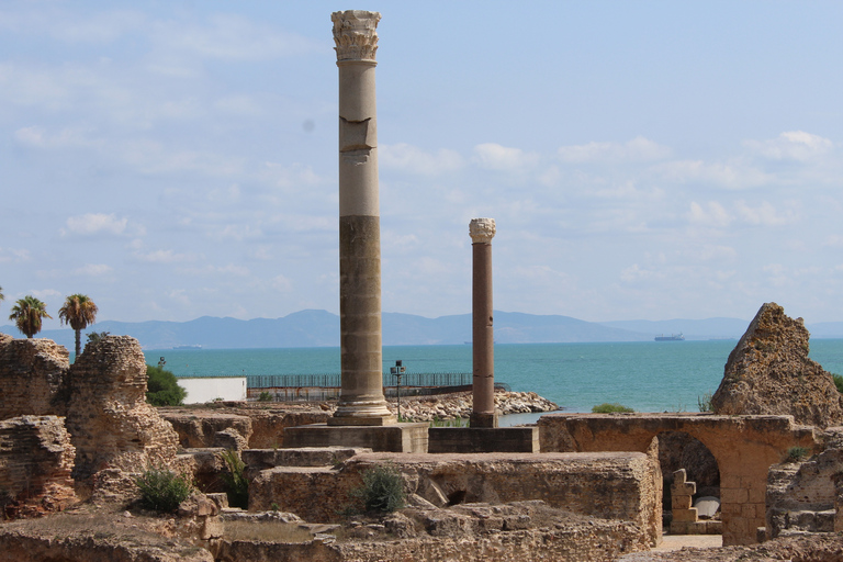 Gobernación de Túnez: tour de día completoDía completo con recogida en Hammamet y Sousse (tarifas adicionales)