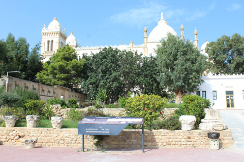 Gouvernorat de Tunis : excursion d'une journéeJournée complète