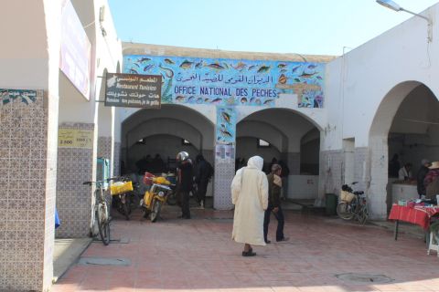 Djerba: Houmt Souk Fish Market Visit