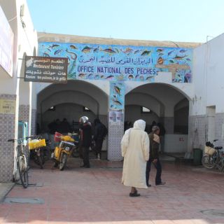 Djerba: Houmt Souk Fish Market Visit