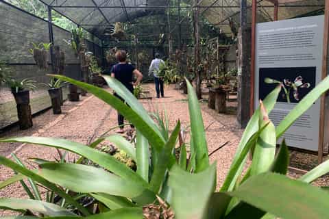 Manaus: Tour Ecológico c/ Museu da Amazônia e INPA