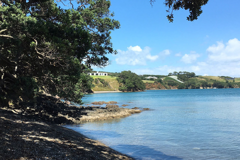 Waiheke-eiland: Premium begeleide kustwandeling met dubbele landtongWaiheke-eiland: begeleide kustwandeling met dubbele landtong