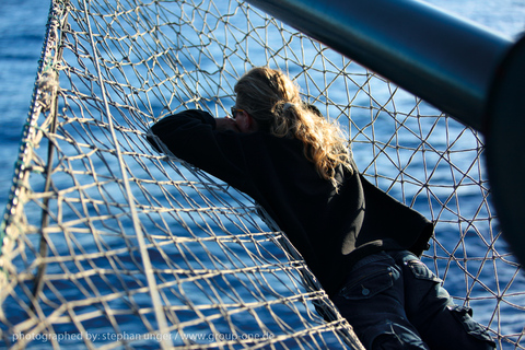 La Palma: 4 hours tour Bussard Classic