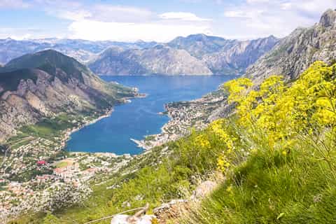 From Dubrovnik: Montenegro Day Trip