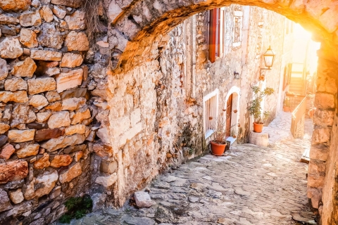 Depuis Dubrovnik : excursion d'une journée au MonténégroVisite standard en anglais