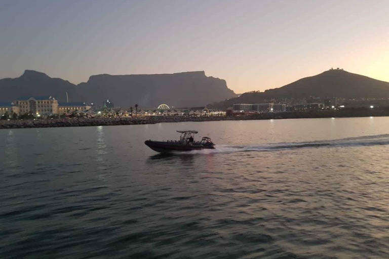 Ciudad del Cabo: 1 hora Sunrise Ocean Safari