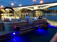 Sevilla, exclusivo River Boat Tour con tapas - Housity
