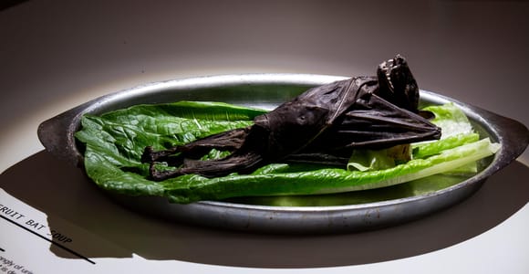 Malmö: Ekelhaftes Essen Museum Eintrittskarte