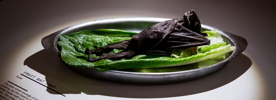 Malmö : Ticket d'entrée pour le musée de la nourriture dégoûtante