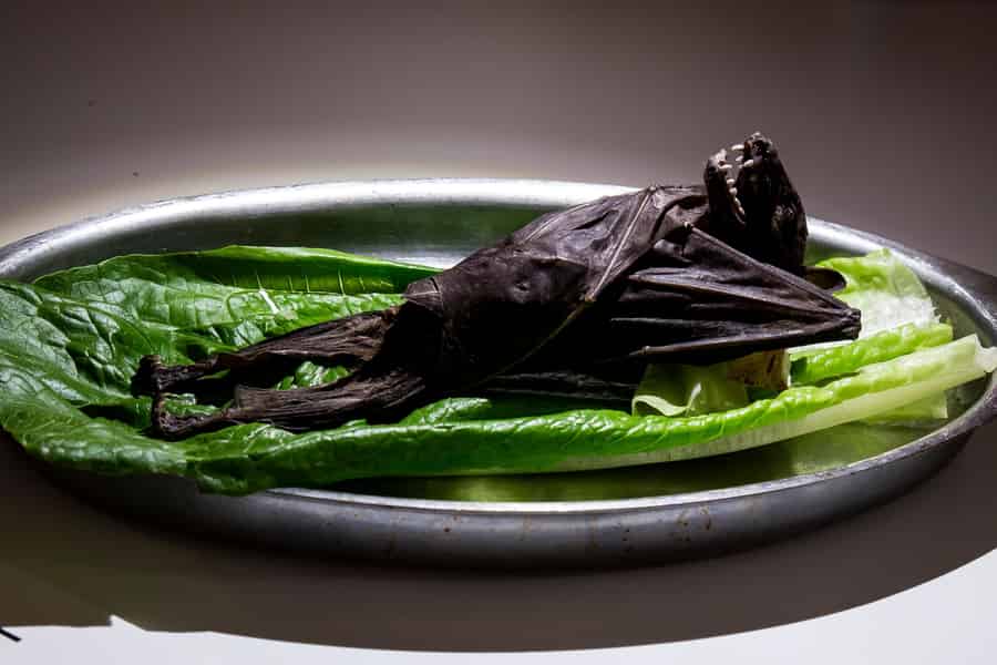 Malmö: Ekelhaftes Essen Museum Eintrittskarte. Foto: GetYourGuide