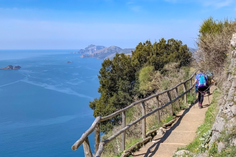 From Sorrento: Path of the Gods Hiking Experience