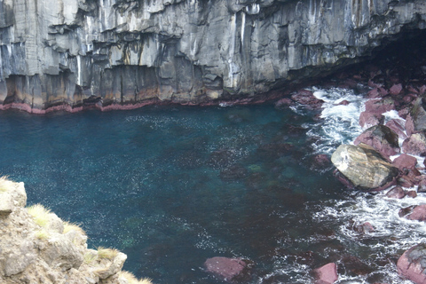 Isola di Terceira: tour escursionistico dei sentieri a piedi