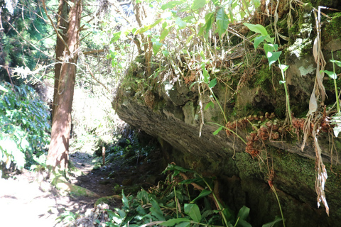 Terceira Island: Walking Trails Hiking Tour