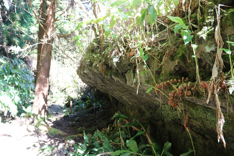 Isola di Terceira: tour escursionistico dei sentieri a piedi