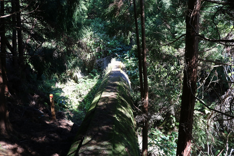 Insel Terceira: Wanderung auf Wanderwegen