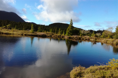 Isola di Terceira: tour escursionistico dei sentieri a piedi