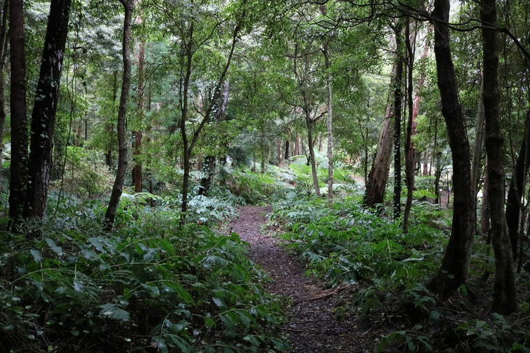 Terceira Island: Walking Trails Hiking Tour