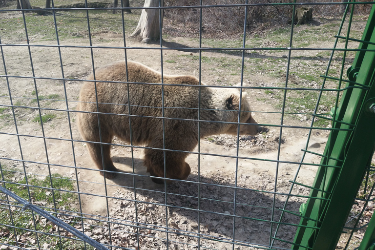 Van Brasov: Libearty Bear Sanctuary RondleidingMet toegangskaarten