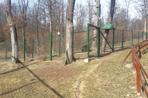 Van Brasov: Libearty Bear Sanctuary RondleidingMet toegangskaarten