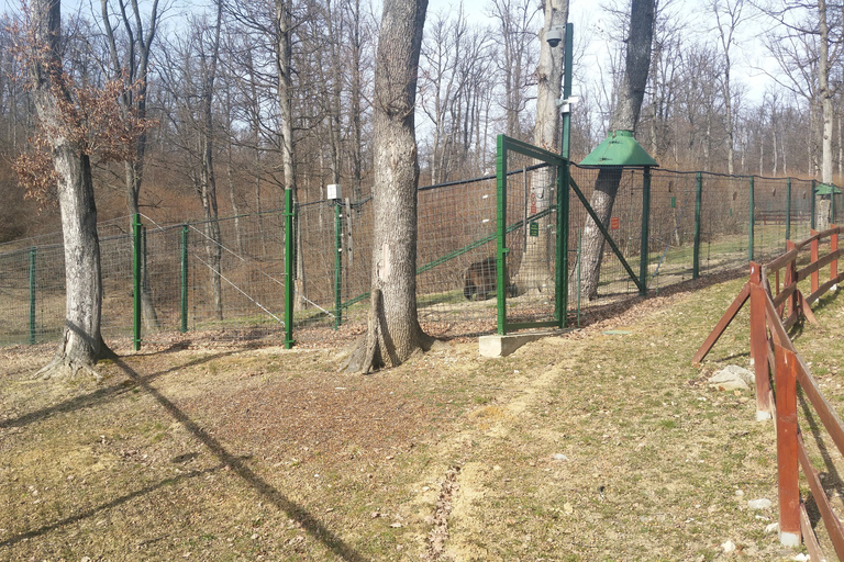 Van Brasov: Libearty Bear Sanctuary RondleidingMet toegangskaarten