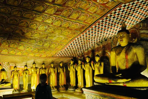 Sigiriya & Dambulla: Private Day Tour From Trincomalee