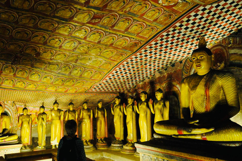 Sigiriya e Dambulla: Tour particular de um dia saindo de Trincomalee