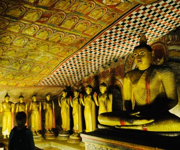 Sigiriya e Dambulla: Tour privato di un giorno da Trincomalee