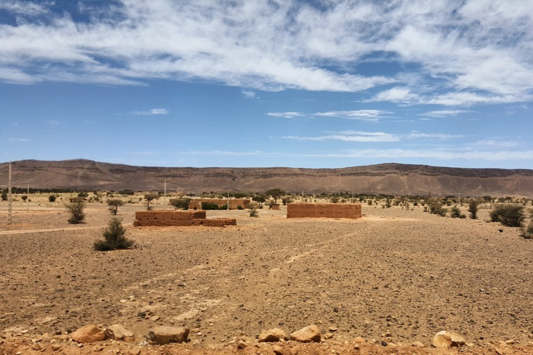 Ab Marrakesch: Agafay-Wüstentour mit Mittagessen & Kamelritt