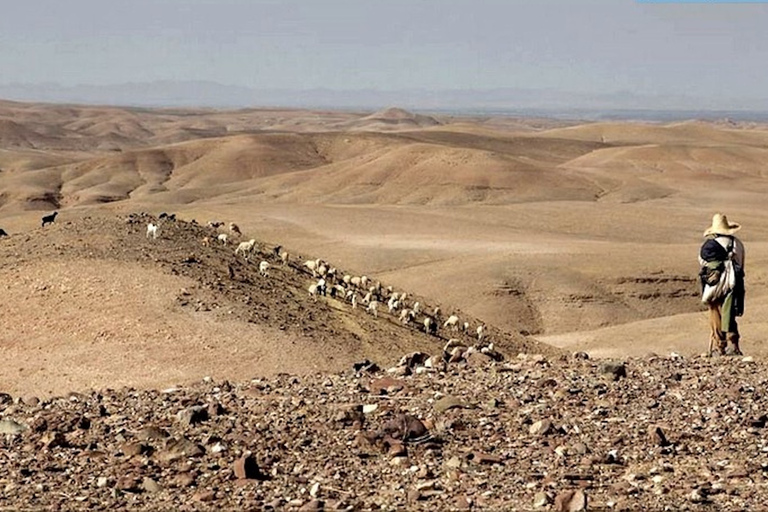 Marrakech: recorrido por el desierto de Agafay con almuerzo y paseo en camello