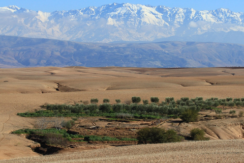 Marrakech: recorrido por el desierto de Agafay con almuerzo y paseo en camello