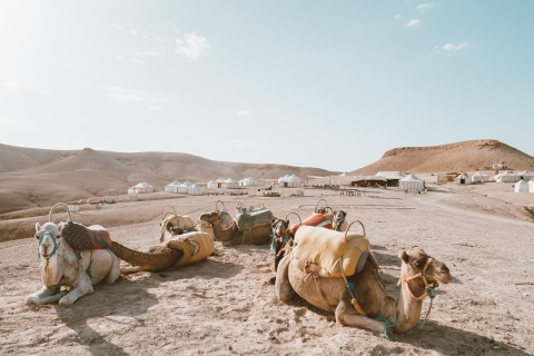 Ab Marrakesch: Agafay-Wüstentour mit Mittagessen & Kamelritt