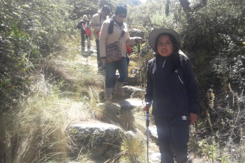 Van Huaraz: begeleide wandeltocht door de meren van Llanganuco en toegangStandaard Optie: