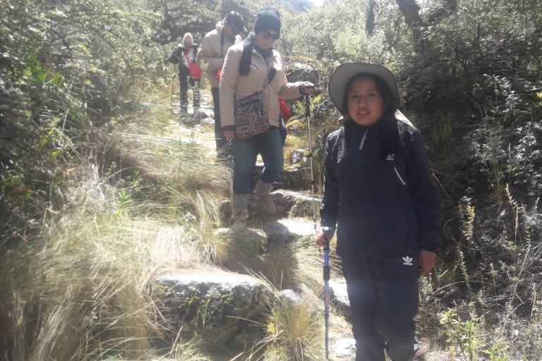 De Huaraz: randonnée guidée des lacs de Llanganuco et entréeOption standard